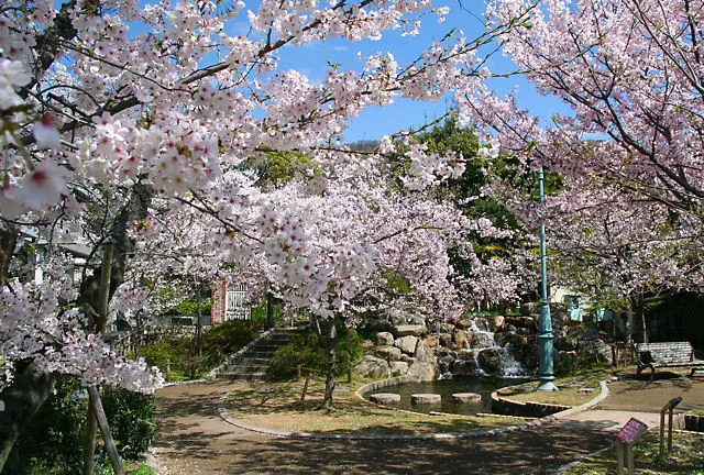 岡本周辺のオススメ癒しスポット