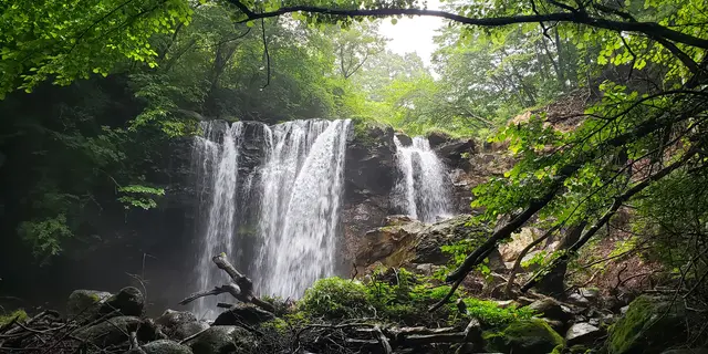 栃木ドライブ🥟那須高原⛰️