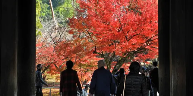 紅葉を求めて南禅寺とその周辺をブラ散歩