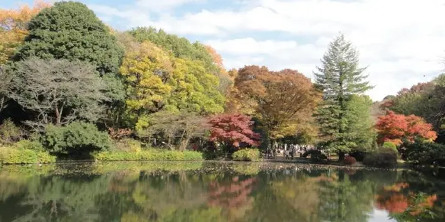 11月16日は、家族で日立中央研究所の庭園におでかけして美しい紅葉を楽しみませんか。