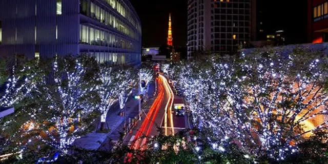 クリスマスの六本木ヒルズは美しい！2015