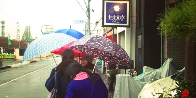 秋の紅葉狩りはこれから！京都をぶらりと観光しよう〜♪