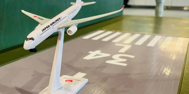 日帰り🦌東京－広島