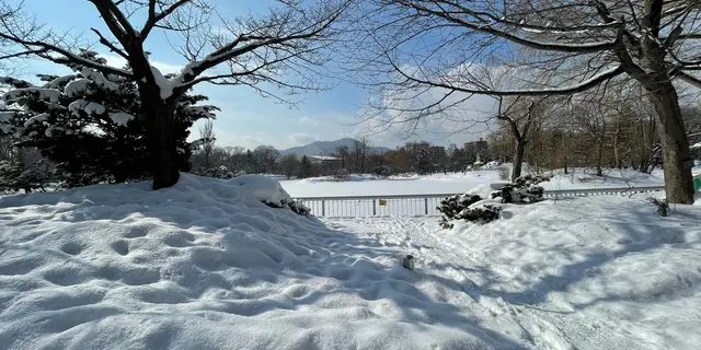雪まつりと札幌旅行