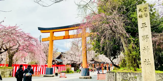 秘密にしたい春スポット🌸〜京都・西陣界隈〜