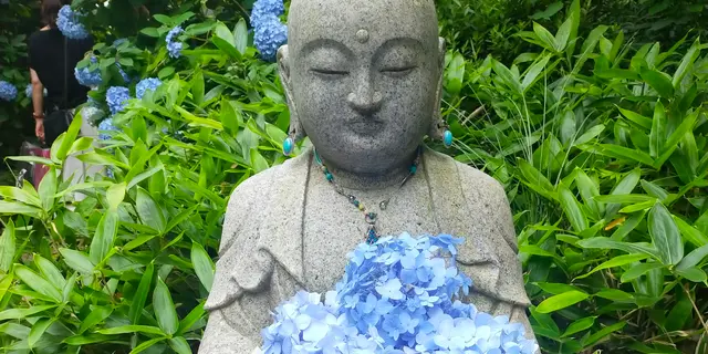 鎌倉へあじさいを見に行こう!