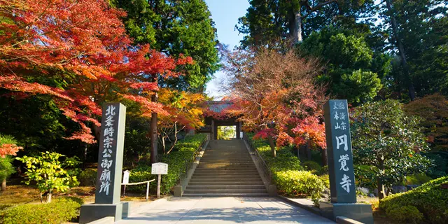鎌倉散策は早朝座禅から。自然や寺社仏閣、鎌倉野菜に癒やされる1日コース