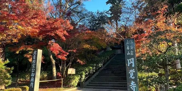 【鎌倉】1日で鎌倉を周り尽くすプラン。