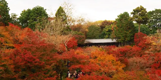 11月京都、紅葉を求めて②