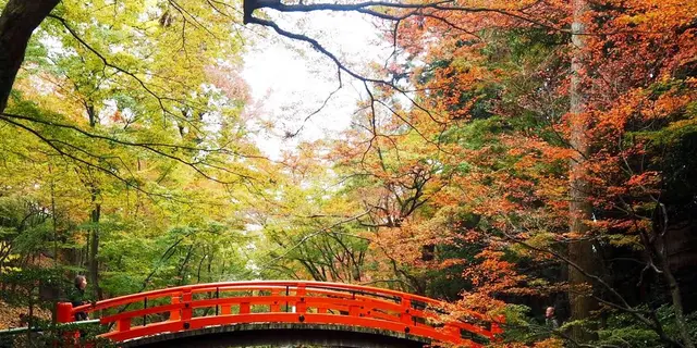 11月京都、紅葉を求めて③