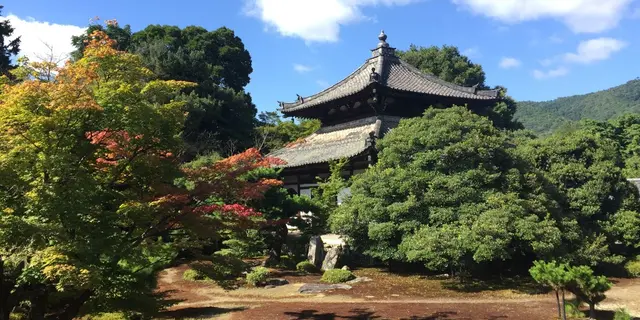 夏の京都・宿坊ステイで心を整える1泊2日