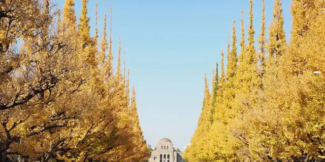 神宮外苑から渋谷へ