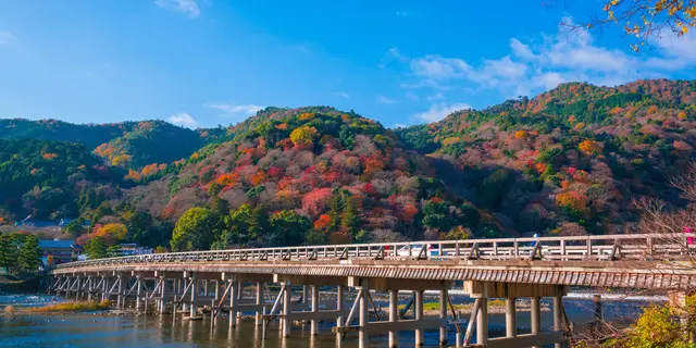 ☘一日京都観光☘嵐山･岡崎