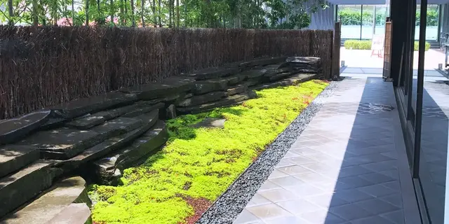 【青山・表参道・原宿】…SNS独占！「ブラックかき氷！？」×「和カフェ」＝進化系「和食」はコレ✍️