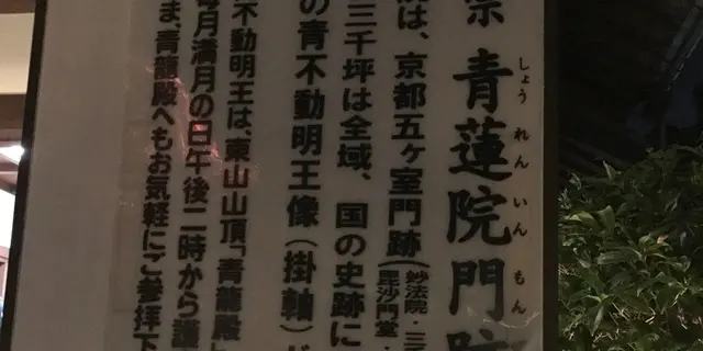 青蓮院門跡 ライトアップ