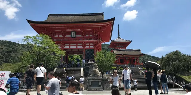 浴衣で京都1日観光    八坂神社〜清水寺〜三十三間堂  美味しいお蕎麦と川床ディナー