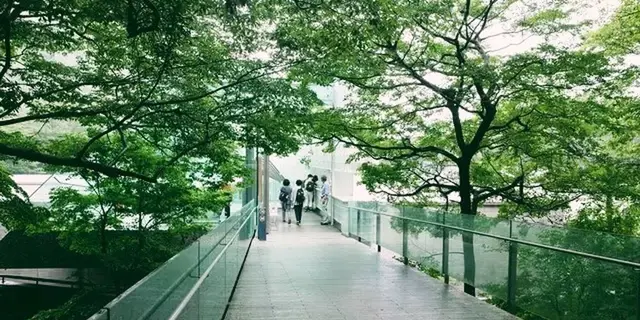 週末ぶらり旅。雨の箱根と小田原散策