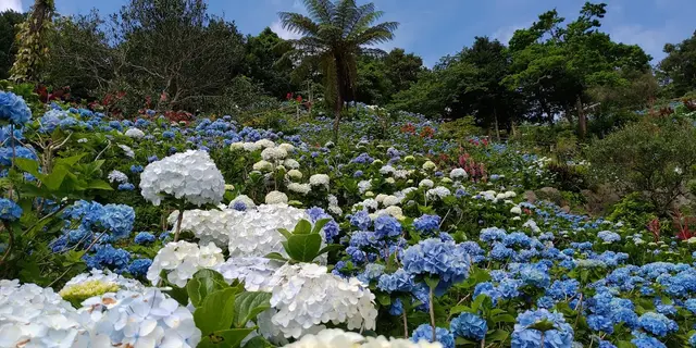 今帰仁村日帰り満喫旅♡