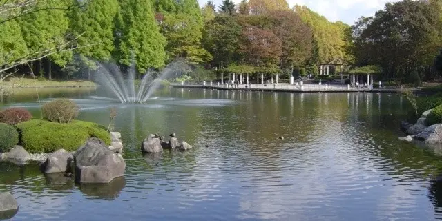 宇都宮　藤マップ