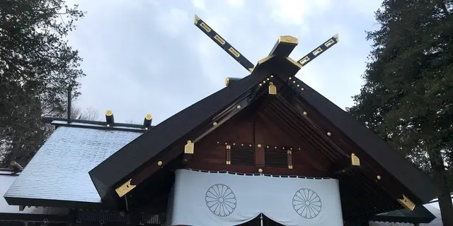 中央区円山⛩神社へ