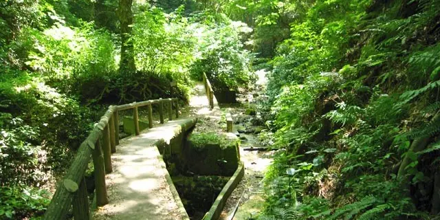 大楠山で絶景ハイキング