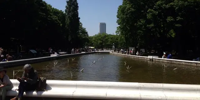 代々木公園でアウトドアな休日