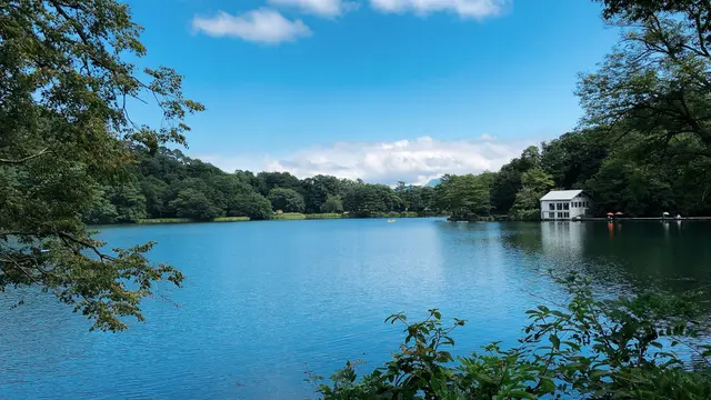 新海誠ゆかりの地 長野県・小海町で絶景ドライブ