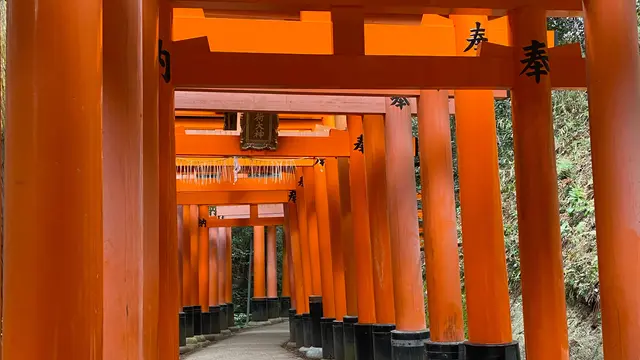 2022年こそ行きたい！京都のSNS映えスポット18選✨