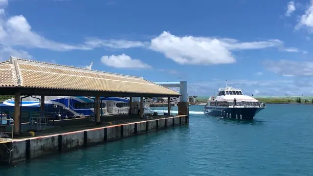 【沖縄】石垣島拠点に小浜島と西表島を巡る2泊3日の旅🏝