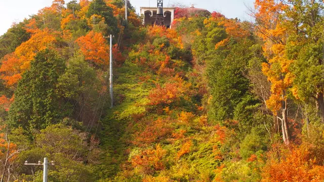 近江八幡～彦根城へ 紅葉を見に行こう！！
