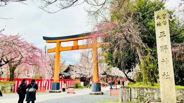 秘密にしたい春スポット🌸〜京都・西陣界隈〜