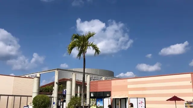 【沖縄】レンタカーを使わずに行ける那覇の人気スポット🛍️♪🦖