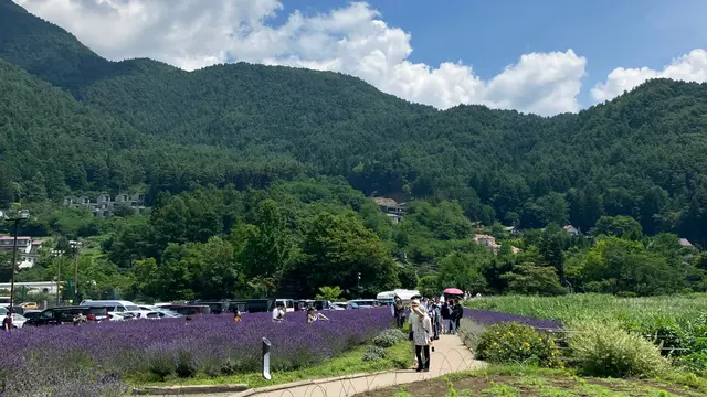 【初夏の河口湖】ひとり旅・日帰り