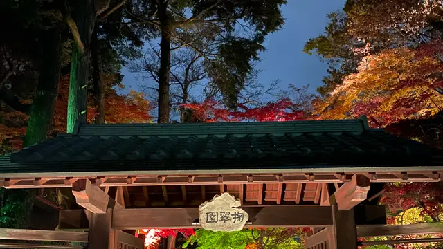 栃木県　鹿沼ぶっつけ秋祭りを鑑賞！鹿沼市を巡る旅