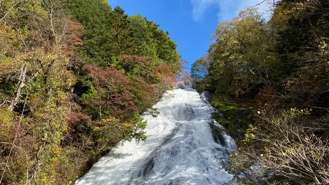 【栃木県日光方面】ドライブで日帰り紅葉巡り