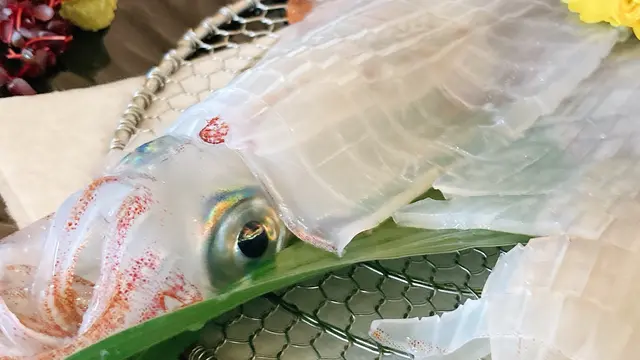 キニナル佐賀