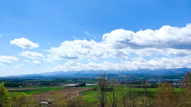 【北海道】ホリデースタッフがおすすめする大樹町エリアの手つかずの自然と地元の美味を楽しむ究極の休日