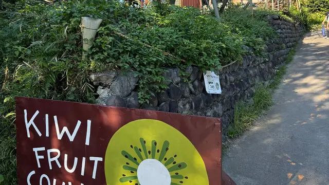【静岡 掛川 KIWI FRUIT🥝COUNTRY】