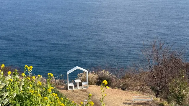 【静岡 熱海】お散歩パート2 青い海 青い空 菜の花の香り ゆったりした時間