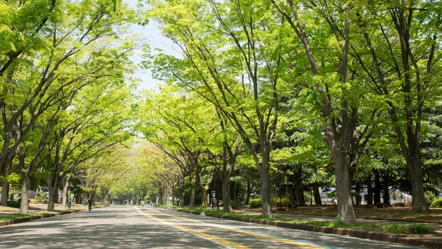 駒沢エリア🌳