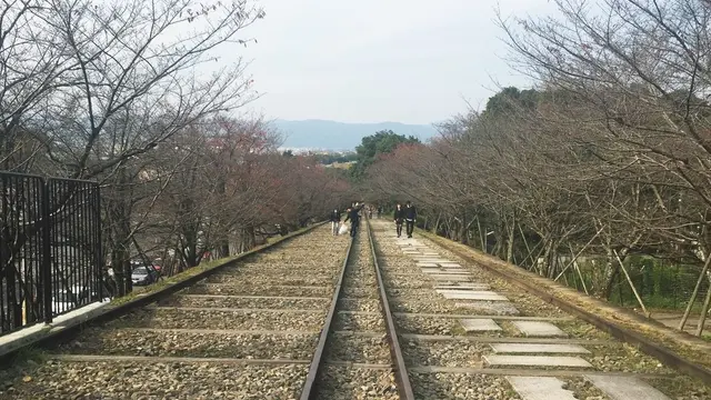 蹴上インクライン→疎水記念館→南禅寺水路閣→哲学の道→平安神宮→河原町