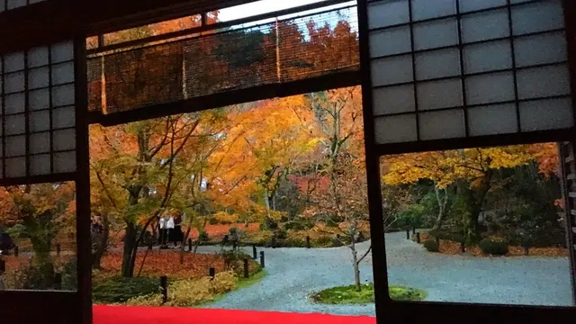 【秋の京都は裏切らない！】そうだ、京都行こう！紅葉編
