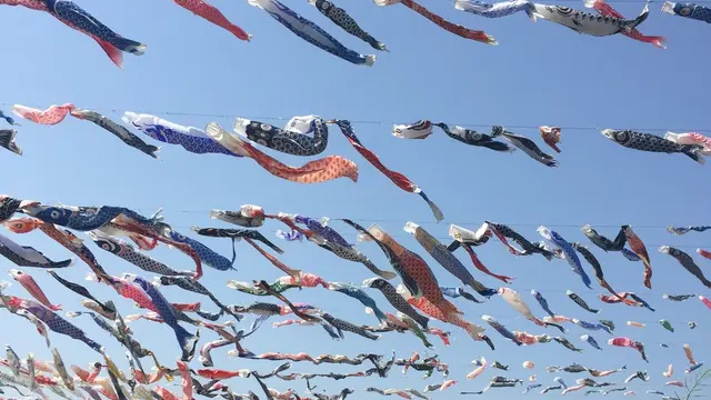 高槻 芥川 1000匹の鯉のぼり