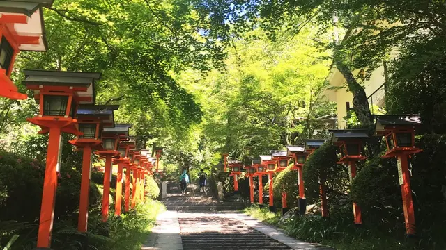 紫陽花を楽しむ！6月京都のたび