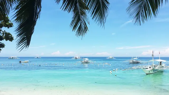 フィリピン ボホール島の美しい海と緑がいっぱいのリゾート旅プラン