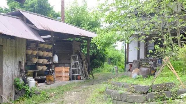 自然と文化を楽しむ萩で巡りたいスポット