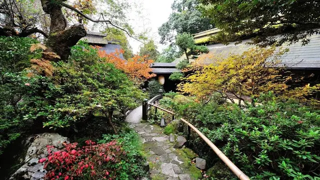 ここ東京⁈   里山歩きと温泉〜ステキ隠れ家スポットも! @あきる野・五日市