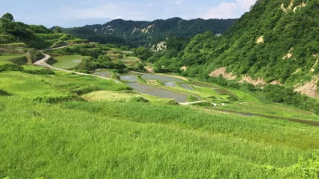 山形県大蔵村 紅葉 棚田 蕎麦 肘折温泉
