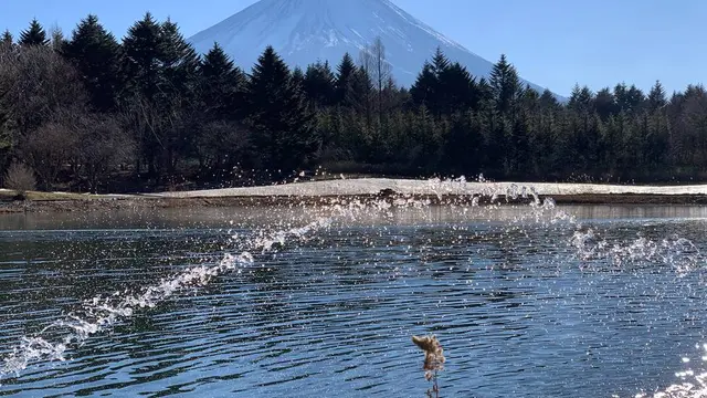 ダイヤモンド富士の富士五湖周遊と新屋山神社で初詣！