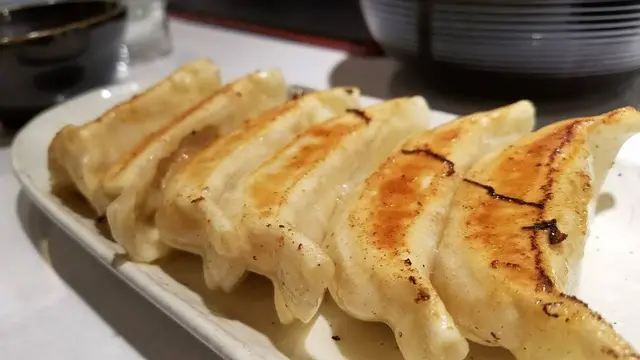 🥟餃子食べまくり　宇都宮編